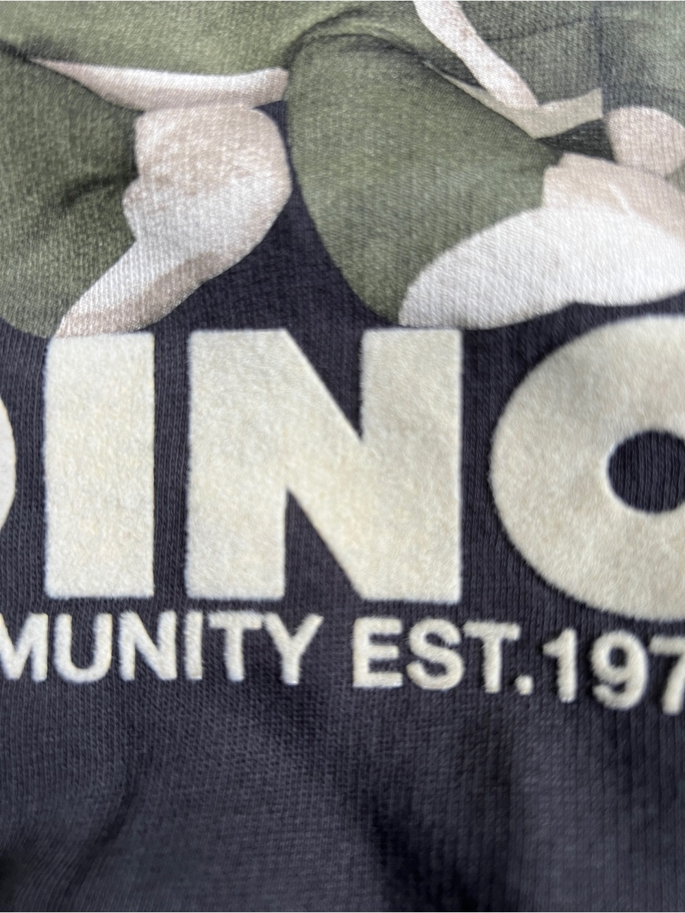 Zara great days Dino plush letters crewneck sweatshirt kids size 5 - Picture 3 of 5